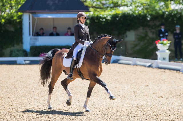 P.J. Rizvi (USA) und Breaking Dawn belegten mit 69,78% Platz zwei im CDI4* Grand Prix von Achleiten. © Michael Rzepa