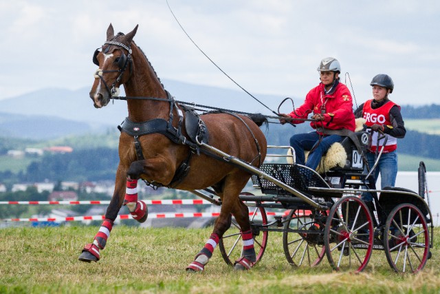 Marisa Rössler (Österreich) und Chadow CH wurden Zweite. © Marion Berg