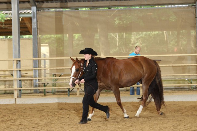 Platz 1 für Daniela Tauchner und Sugar Johnny Bonita in der ZNS A Showmanship. © Christian Kellner