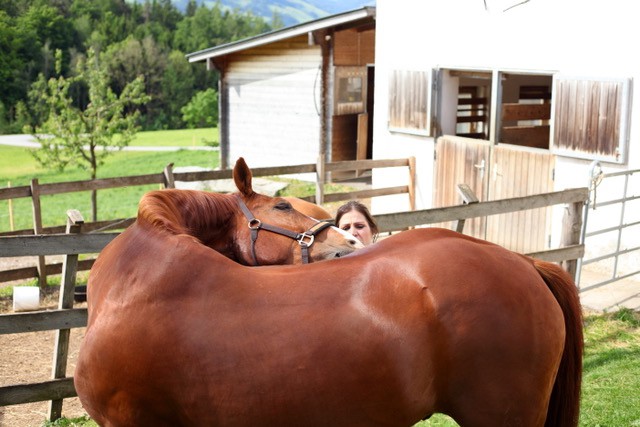 Stretching exercises keep your horse supple and strong © Adrienne Tomkinson