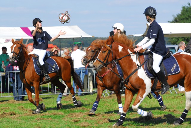Horse-Ball erfreut sich großer Beliebtheit. © Shutterstock | Regien Paassen
