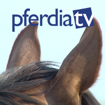 Auch die pferdia tv App gibt es im iTunes Store und im Google Play Store. © pferdia tv