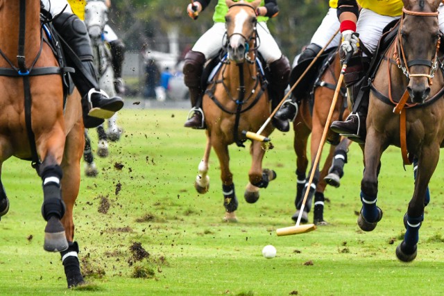 Polo erfordert viel Geschick und eine schnelle Reaktionsfähigkeit. © Shutterstock | Kento35