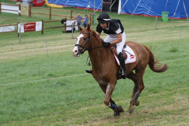 Clemens Croy (NÖ) und Fridolin 14 liegen bei der Ländlichen EM in Tongeren (BEL) mit 66,7 Punkte auf Platz 27 nach Dressur und Gelände. © Severin Chum und Michaela Zederbauer