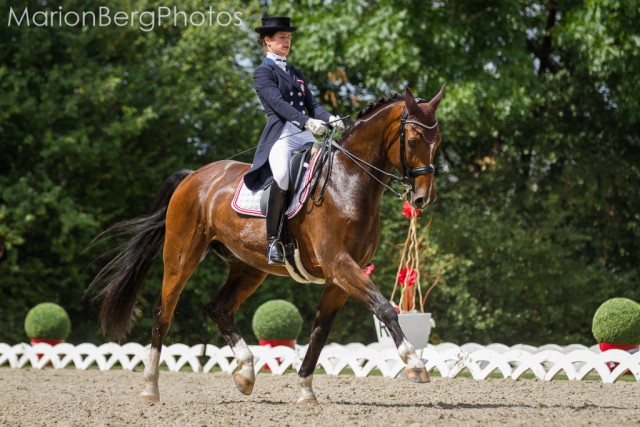 Stephanie Fincec und Epomeo holten sich in der allgemeinen Klasse den Landesmeistertitel. © Marion Berg Photos