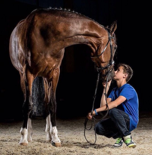 Dominik Juffinger und Pferde - das gehört einfach zusammen. © Privat