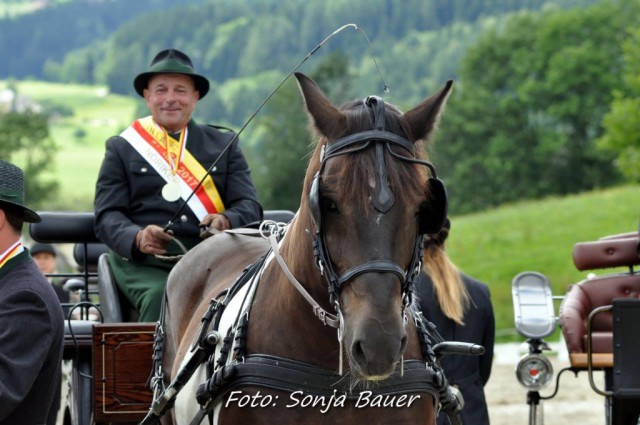 Die neuen Meister freuten sich über zahlreiche Ehrungen! © Sonja Bauer