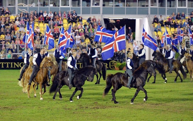 Temperamentvolles Opening für den Großen Verdener Showabend mit der Islandpferde-Quadrille. © Rüchel