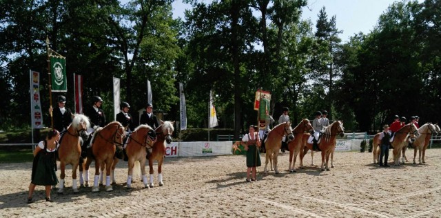 Die Siegerehrung der Oberösterreichischen Meisterschaft der Haflingerreiter in der Mannschaft. © Sonja Bauer