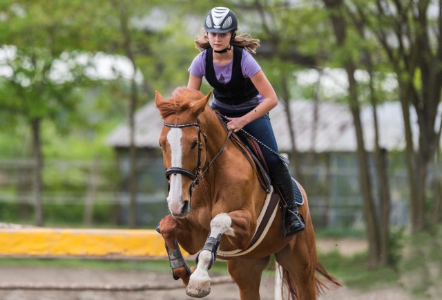 It is important for older horses to maintain regular training! g Shutterstock | fotokostic