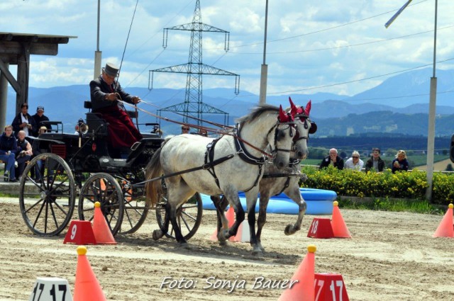 Im Kegelparcours entschieden sich die Siege! © Sonja Bauer