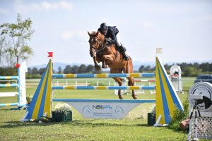 Michael Rösch jun. wird das Team NÖ in Kärnten verstärken. © Horse Sports Photo