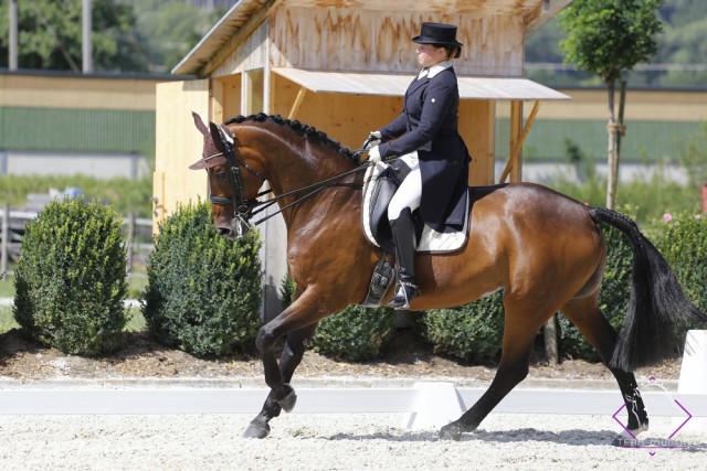 Die Steirerin Ute Berger (im Bild mit Callista MBH) war mit ihren Pferden in den Klassen S äußerst erfolgreich. © Team Myrtill