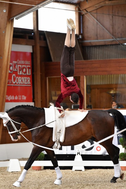 Dominik Eder war der einzige Starter bei den Österreichischen Meisterschaften der Herren, erturnte sich die Goldmedaille aber dennoch hochverdiente. © Horse Sports Photo