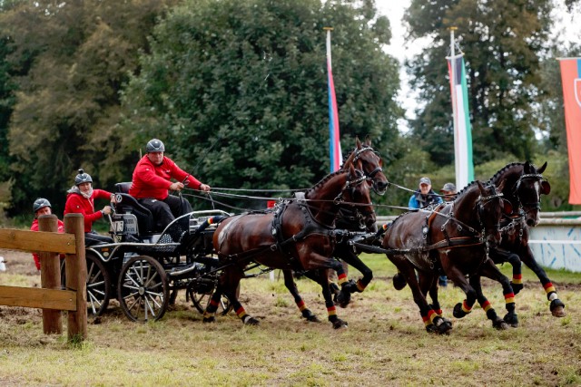 Georg von Stein siegte bei der Marathon-/ Geländefahrt der Pferde-Vierspänner. © Stefan Lafrentz