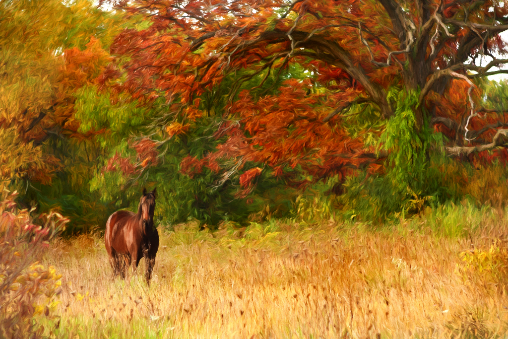 Nachgefragt: Wie kann ich mein Pferd beim Fellwechsel im Herbst unterstützen?