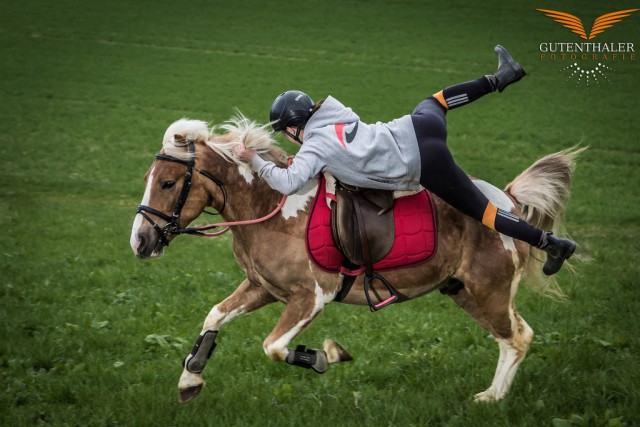 Spannender und vor allem rasanter Sport bei der ÖM Mounted Games 2017 im Ponyhof Daneder (OÖ). © Roman Gutenthaler