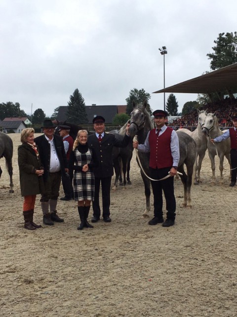 Orf Programmdirektorin Kathrin Zechner Ubernimmt Patenschaft Fur Junghengst Equestrian Worldwide Pferdesport Weltweit Eqwo Net
