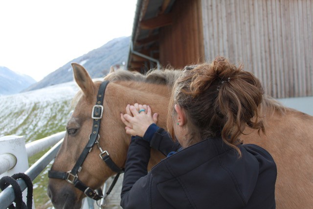 “A Massage at the start of your horses break will only benefit him!” © Adrienne Tomkinson