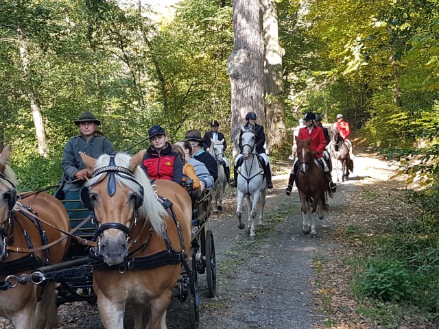 Ein traumhafter Tag für Reiter, Fahrer, Hundeführer und Jäger im wunderschönen Waldviertel. © EQWO.net