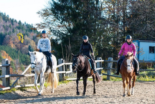 Viel Spaß beim Kurs mit den Pferden Kiss, Sharkan und Fiona. © Emily Puchner