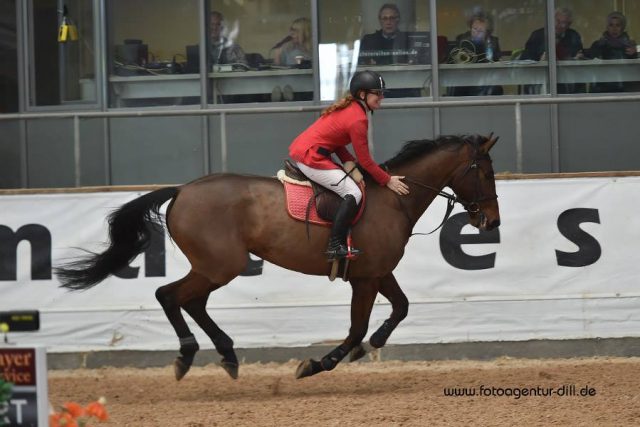 Erster Sieg für Österreich beim Internationalen Hallenturnier in Kreuth: Monika Niederländer und Goodlord Carthago. © Fotoagentur Dill