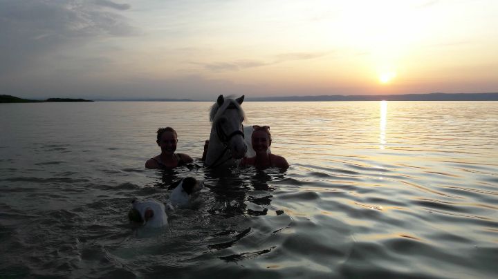 Das erste Mal mit dem Pony im See - ein ganz besonderer #Glücksmoment für Ida Schmelzer. © Ida Schmelzer