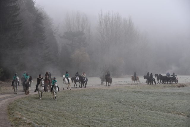 Trotz anfänglichem Nebel und Kälte, erschienen gut 30 Reiter/Gespanne zum 4. Stephani-Ritt. © NOEPS