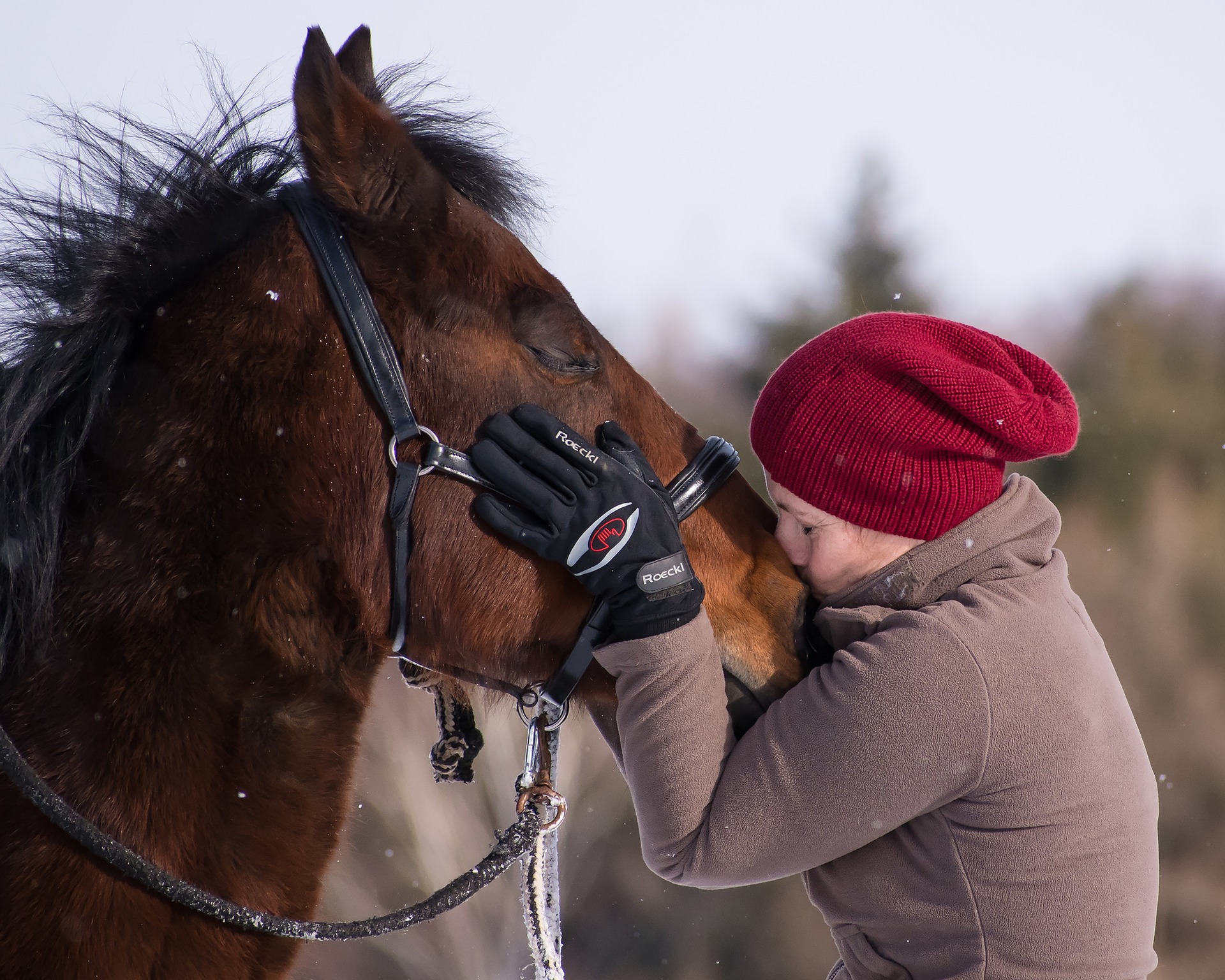 Richtiges Atem ist wichtig, da sich Entspannung sofort auf das Pferd überträgt. © pixabay | werdepate