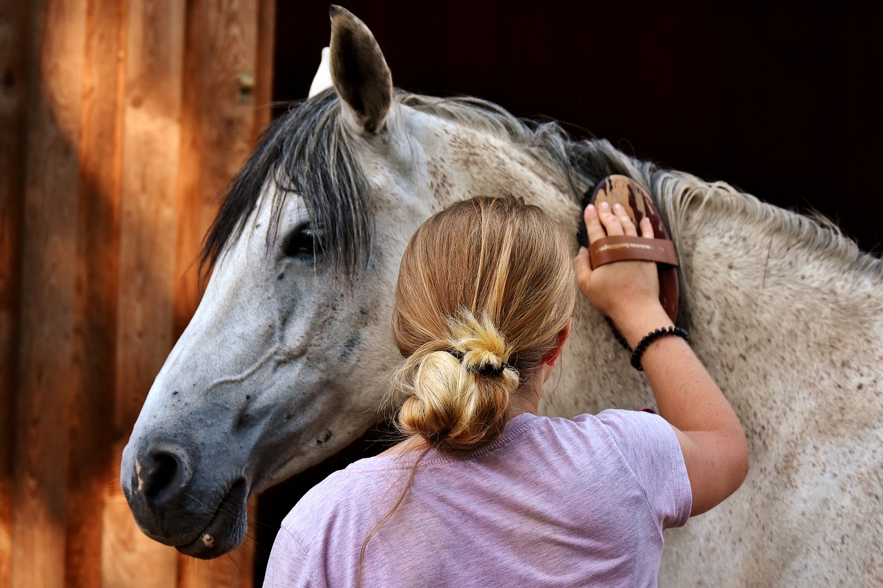 Dein Pferd vor dem Start zu putzen kannst du auch als Ritual nutzen, um dich zu konzentrieren. © pixabay | alexas_photos