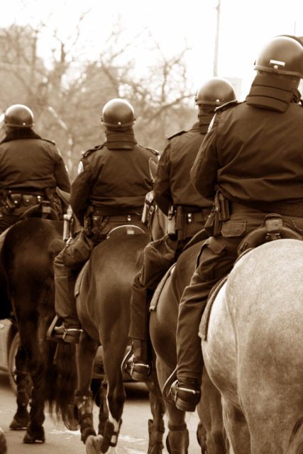 Polizeipferde brauchen eine spezielle Ausbildung, um für den Dienst geeignet zu sein. © AdobeStock