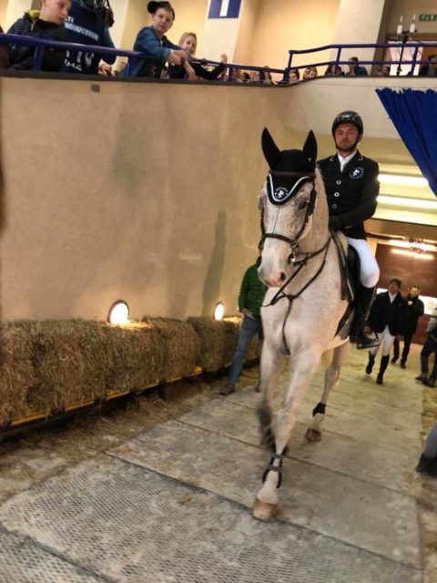 Rang 12 für Roland Englbrecht und sein Top-Pferd Chambery im Grand Prix von Warschau. © Barbara Hubner