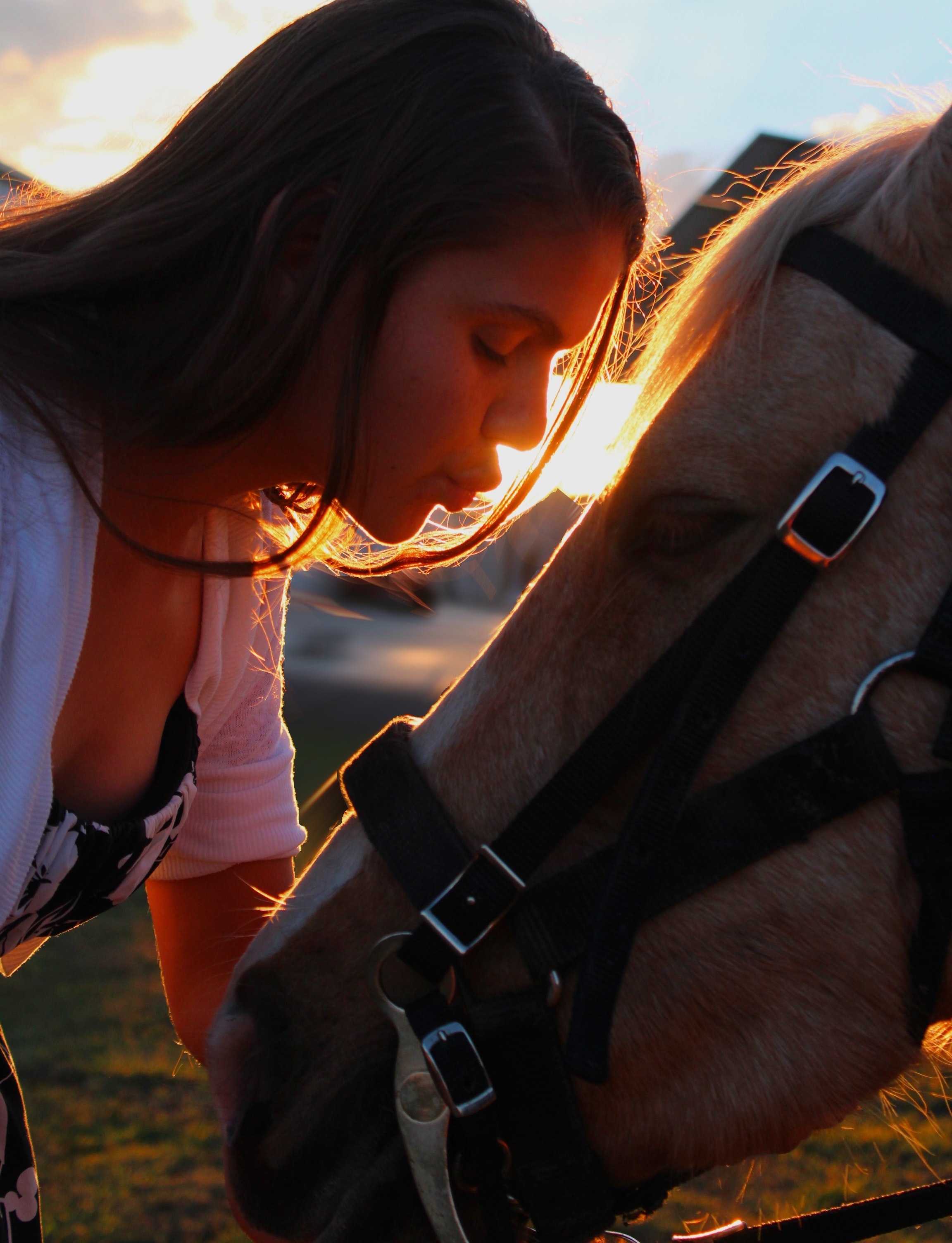 Mit negativen Emotionen auf dein Pferd aufzusteigen bringt erstmal gar nichts! © Pexels