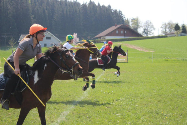 Der Spaß bei den Mounted Games kommt nicht zu kurz! © Ponyhof Daneder