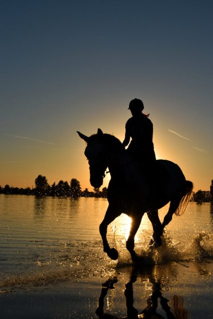 Nicht nur die körperliche, auch die phsychische Verbindung zwischen dir und deinem Pferd ist wichtig! © pexels