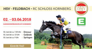 Traditionellerweise veranstaltet der HSV Feldbach RC Schloss Kornberg auch heuer wieder am 2. und 3. Juni 2018 ein Buschturnier mit vielen Highlights!