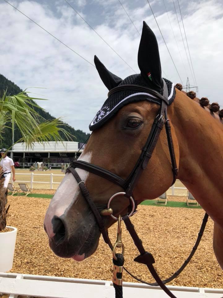 Mevisto-Reiter Roland Englbrecht zeigte sich mit der Leistung seiner Pferde im GLOCK HORSE PERFORMANCE CENTER sehr zufrieden. © Barbara Hubner