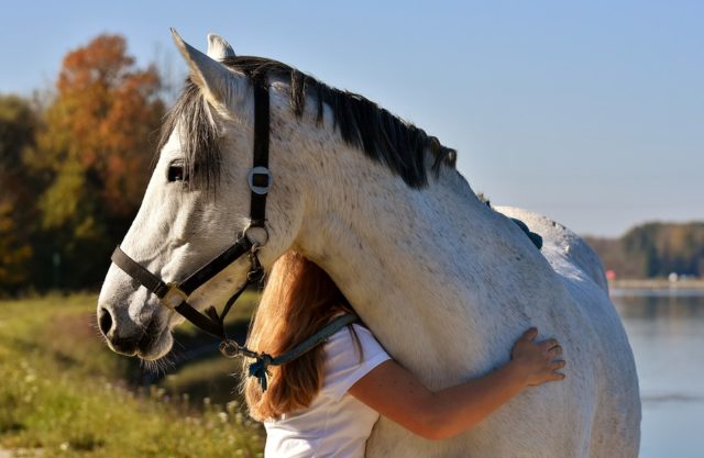 Was gibt dir persönlich deine Pferde-Zeit und bildet damit die grundlegende Motivation hinter deinem Tun? © pixabay