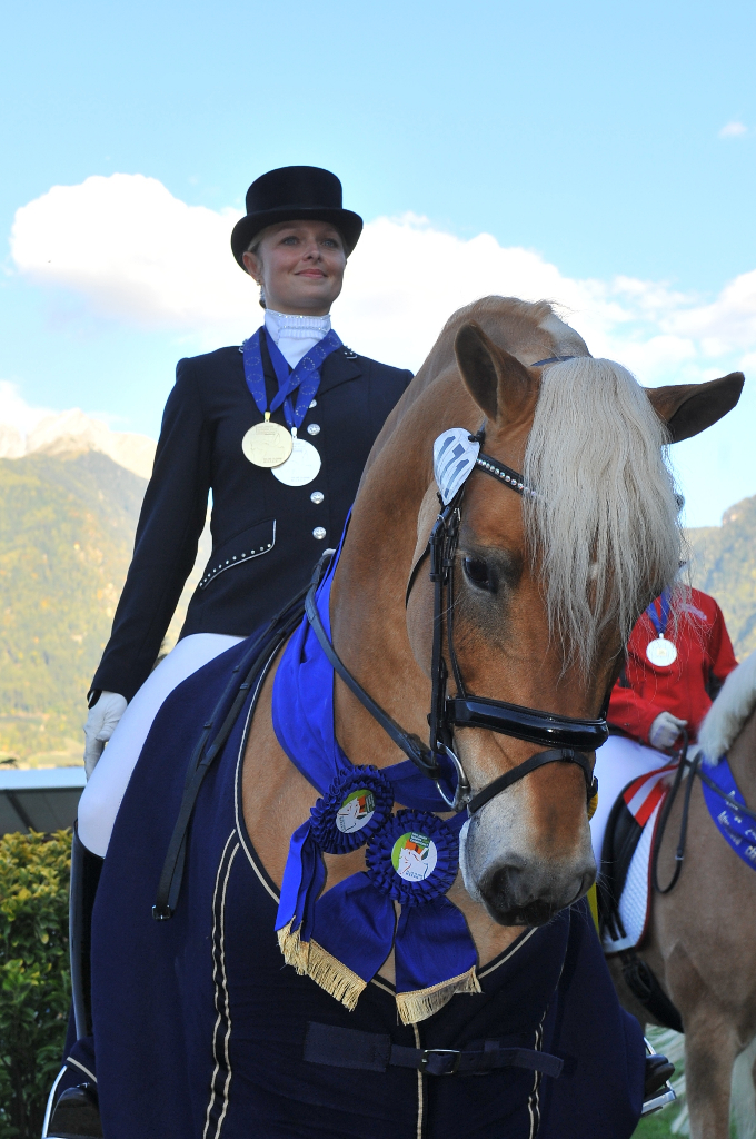 18 Medaillen für Österreich beim Haflinger Europachampionat in Stadl Paura