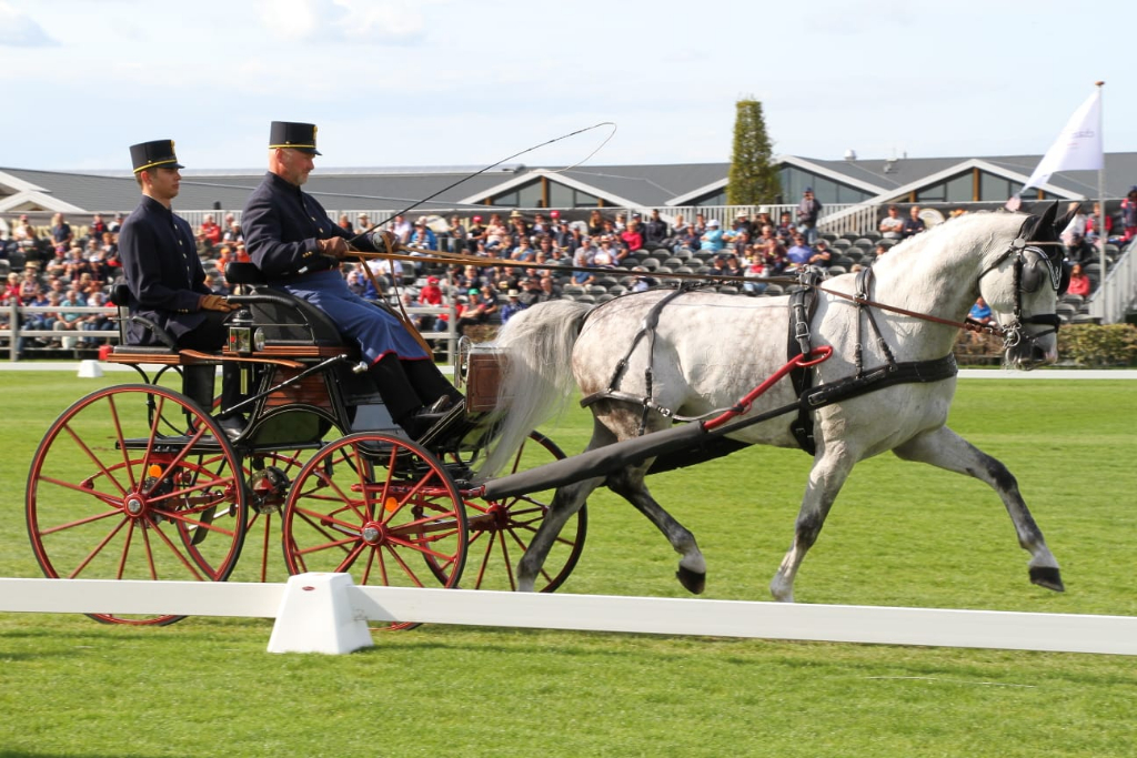 Sieg in der Dressur und Gesamtrang 12 für den Lambacher Rudolf Pirhofer in Kronenberg (NED) bei der WM der Einspänner. © Brigitte Gfehler