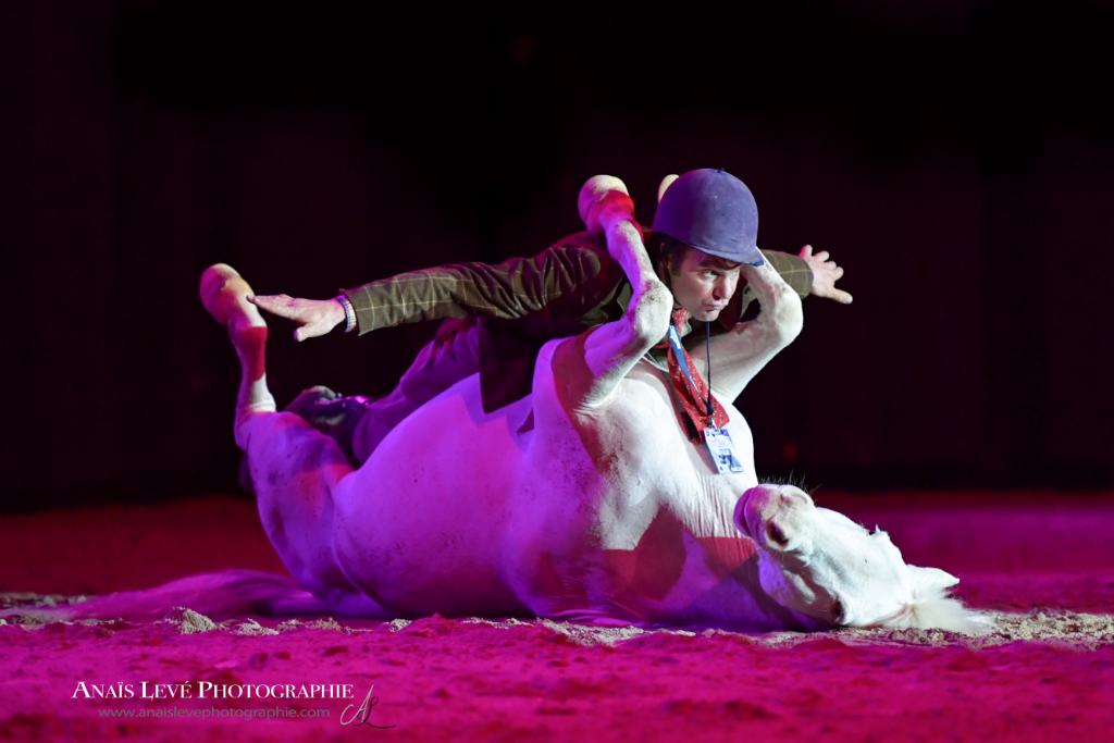 Zwei Weltcups, Messe, Sport und Show	bei der Amadeus Horse Indoors