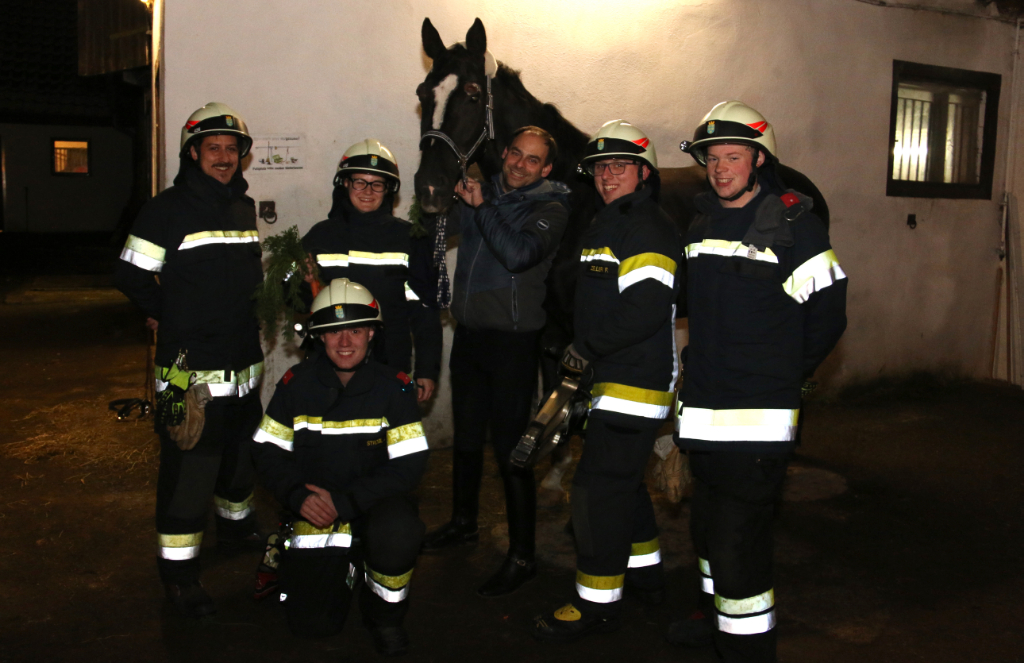 FF St. Pölten-Wagram rettet Pferd Benedict aus misslicher Lage