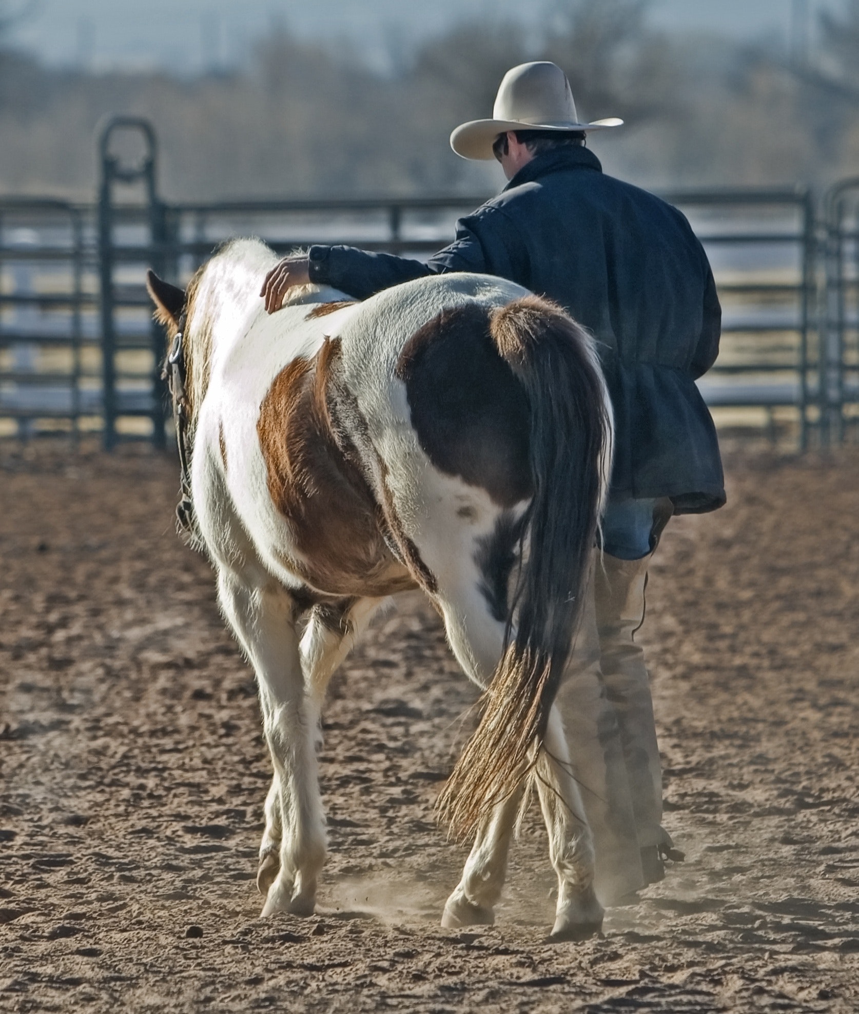 Auch Zeit, die du mit deinem Pferd verbringst ohne eine Leistung von dir oder dem Tier zu verlangen kann gute Gefühle auslösen. © pexels