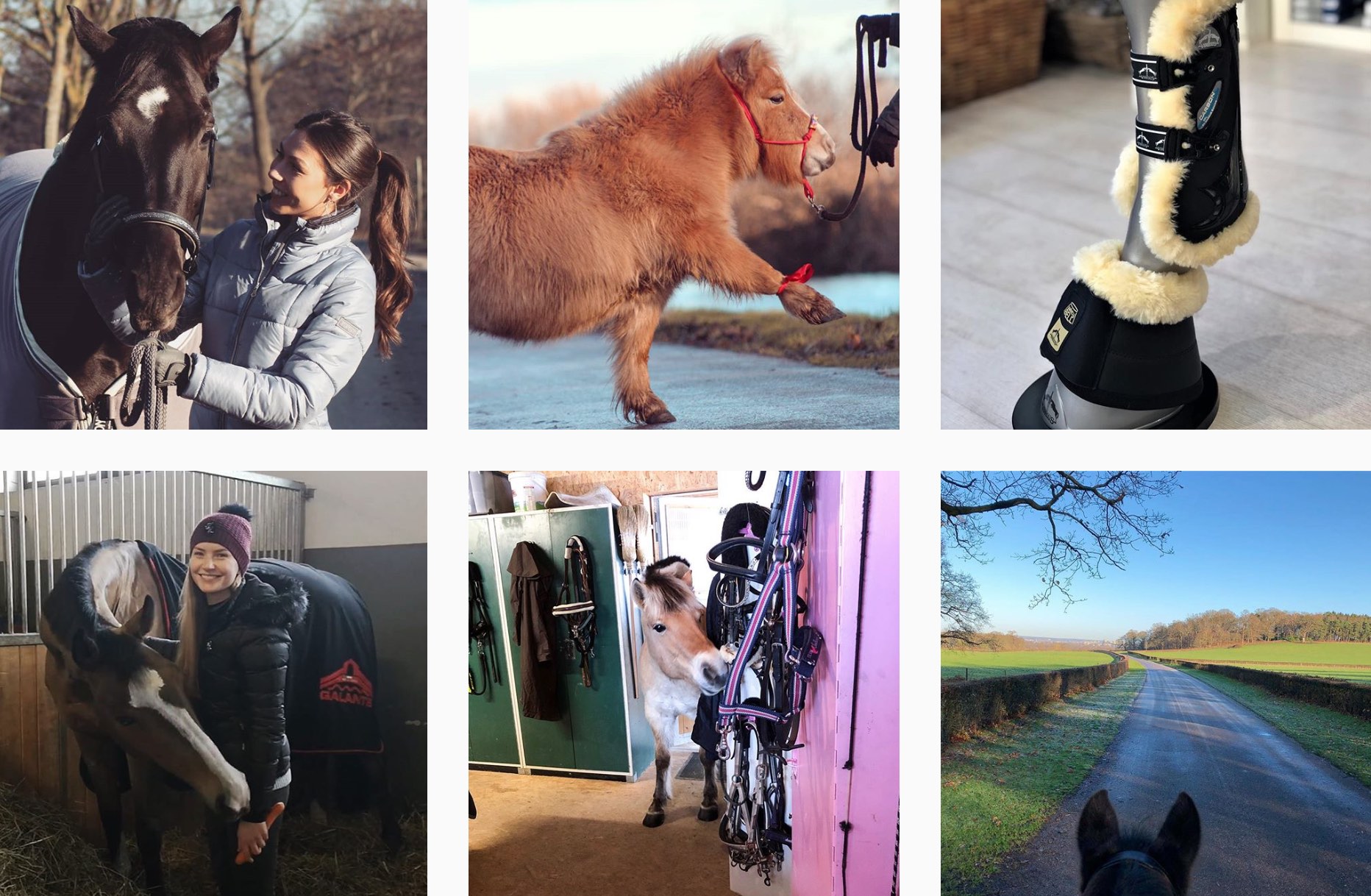 Der Hashtag Equestrian zählt mehr als sieben Millionen Beiträge © Instagram