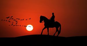 Eine gute Verbindung zwischen Pferd und Reiter ist nicht nur für den Wettkampf wichtig. © pixabay