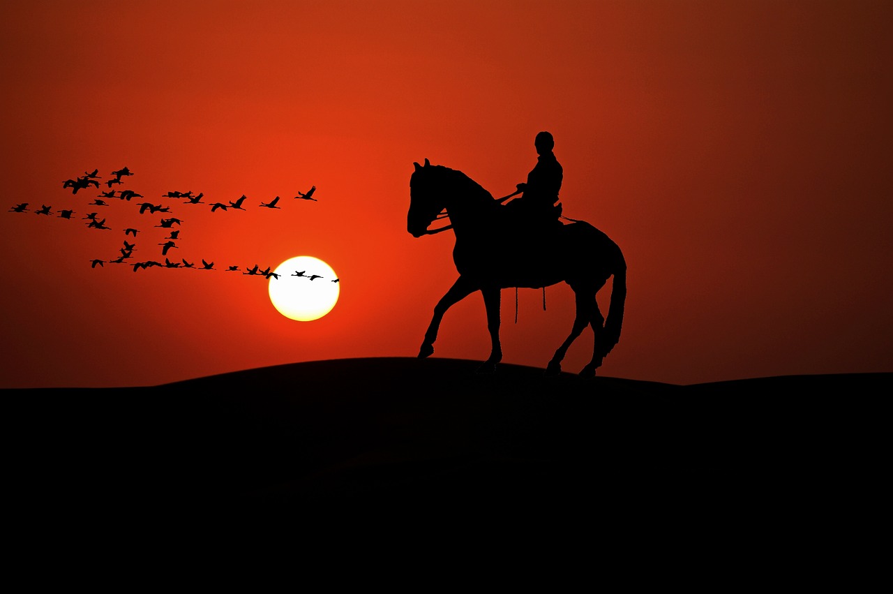 Eine gute Verbindung zwischen Pferd und Reiter ist nicht nur für den Wettkampf wichtig. © pixabay