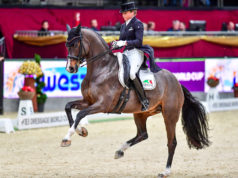 5.- 8.12.2019, Salzburg, Amadeus Horse Indoors Faustus Schneider,Dorothee GER photo: im|press|ions – Daniel Kaiser