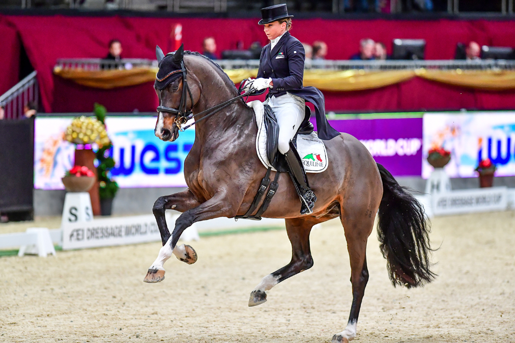 Amadeus Horse Indoors 2019: 800 Pferde, 500 Hunde, Messe, Sport und Show