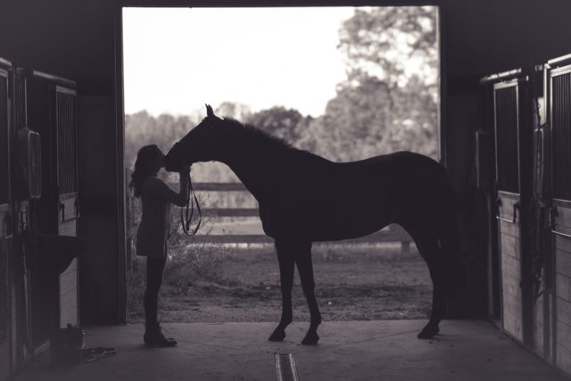 Der eigene Weg im Einklang mit dem Pferd ist das, was am Ende zählt. © Kenny Webster | unsplash