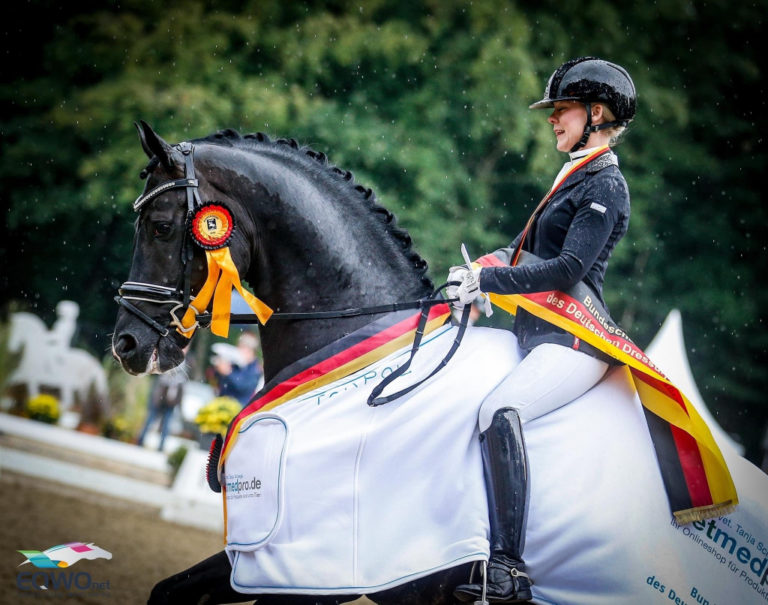 Das Sind Die Deutschen Bundeschampions Der Dressur! - Equestrian ...